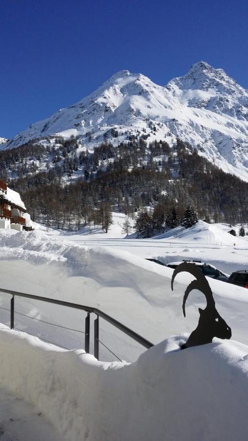 Maloja Kulm Hotel ภายนอก รูปภาพ